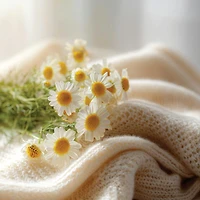 Chamomile & Cashmere
