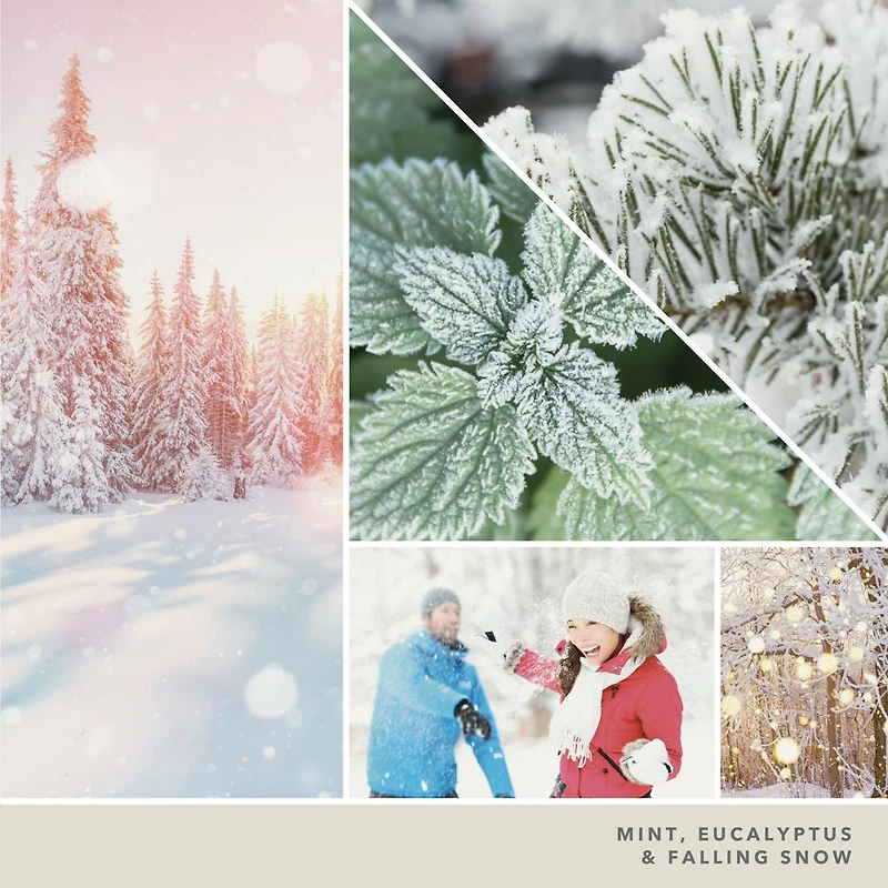 Snow Globe Wonderland