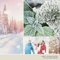 Snow Globe Wonderland