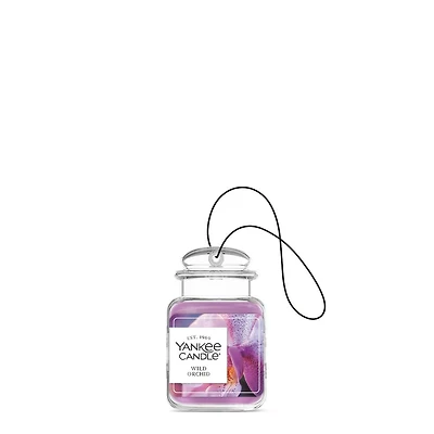 Wild Orchid