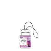 Wild Orchid