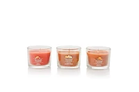 Pumpkin Season Minis Gift Set