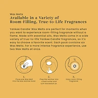 Starfruit & Sunshine