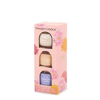 Mother’s Day Minis Gift Set