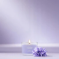 Lilac Blossoms