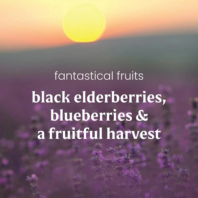 Fantastical Fruits