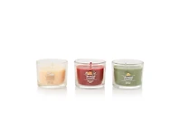 Holiday Party Minis Gift Set