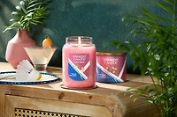 Social Birdie - Melon & Spun Sugar