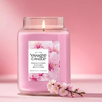 Enchanting Cherry Blossoms