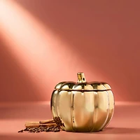 Spiced Pumpkin Ceramic Golden Gourd