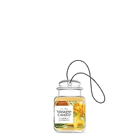 Starfruit & Sunshine