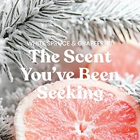 White Spruce & Grapefruit