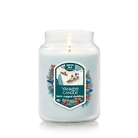 Snow-Capped Sledding