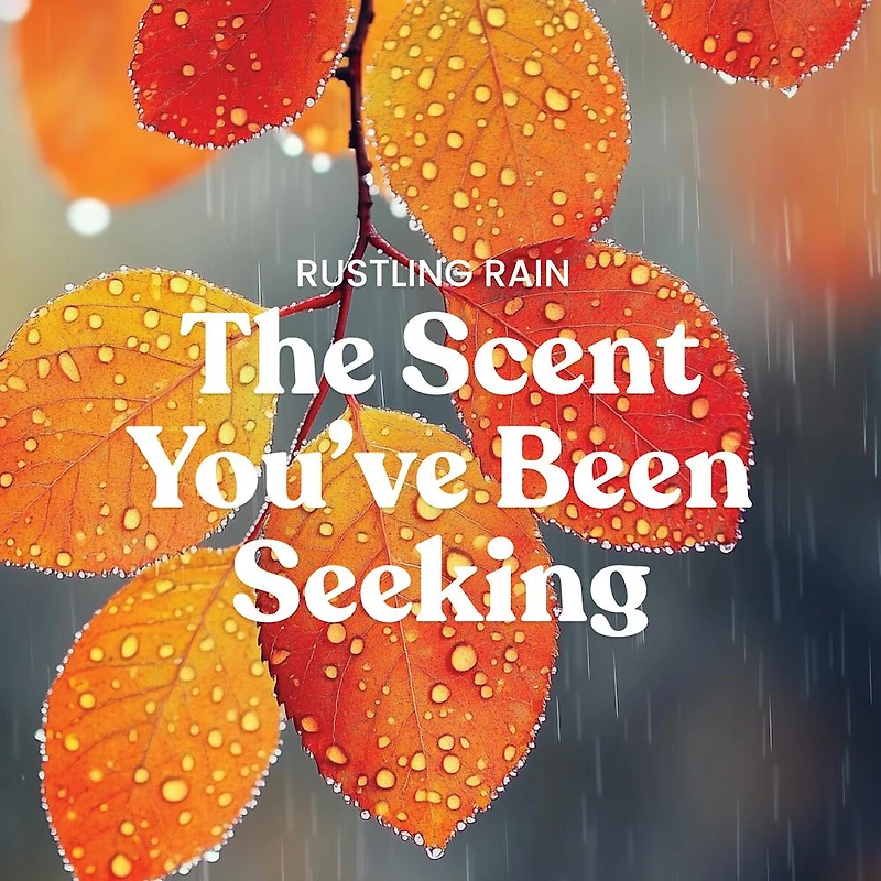Rustling Rain