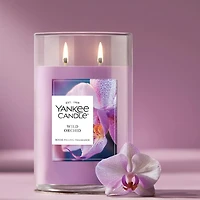 Wild Orchid