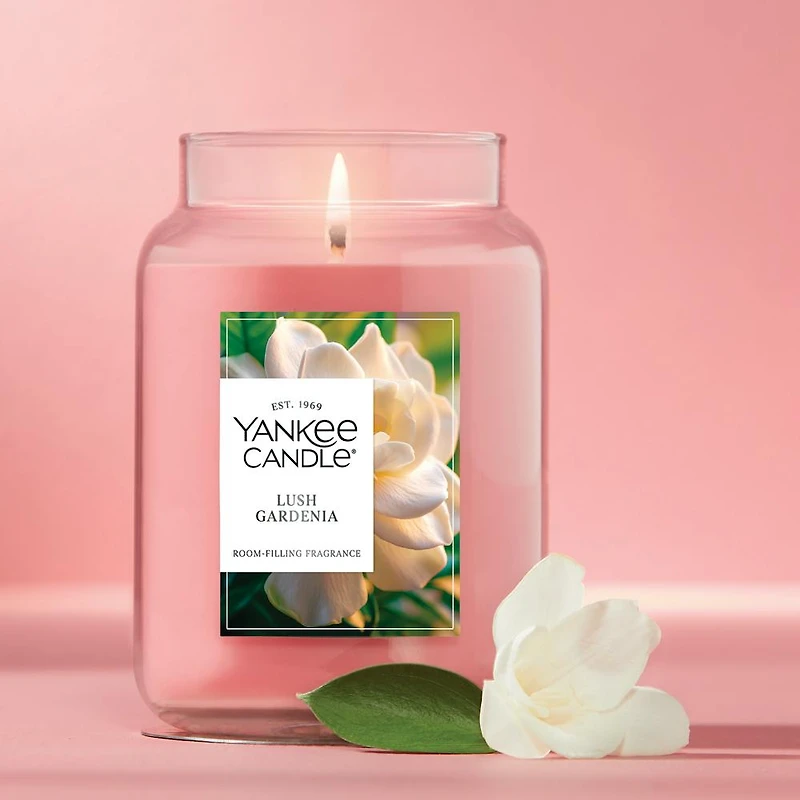 Lush Gardenia