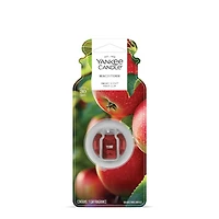 Macintosh