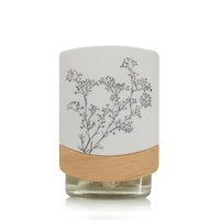 Natural Simplicity ScentPlug® Diffuser w/ Light