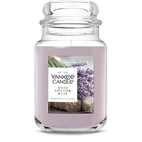 Dried Lavender & Oak​