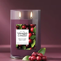 Cranberry Chutney