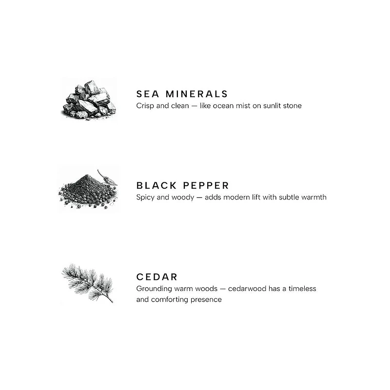 Marine Premium Reed Diffuser