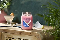 Social Birdie - Melon & Spun Sugar