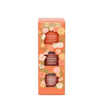 Pumpkin Season Minis Trio