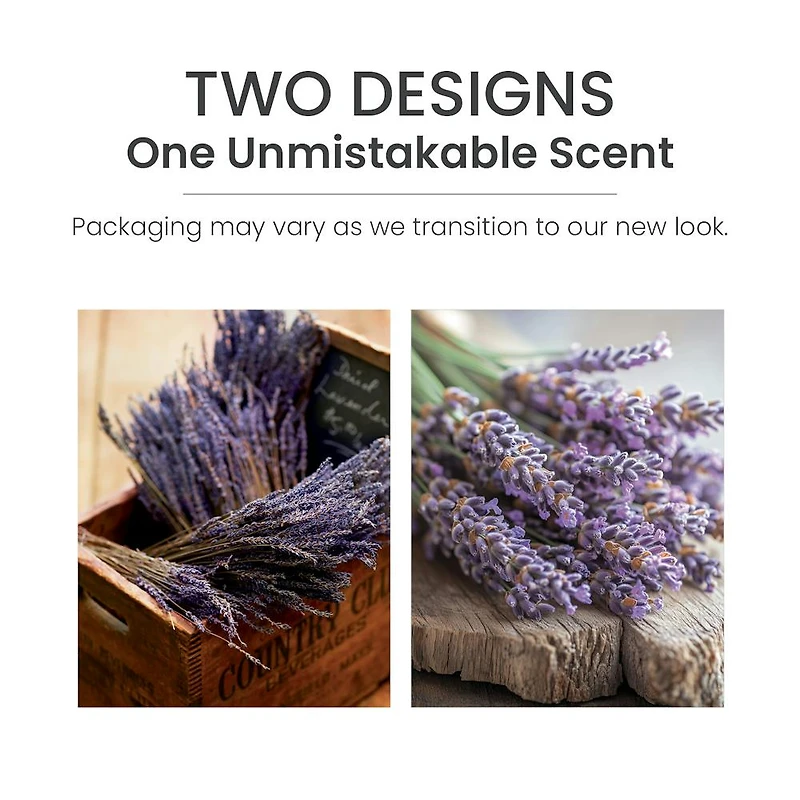 Dried Lavender & Oak