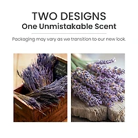 Dried Lavender & Oak