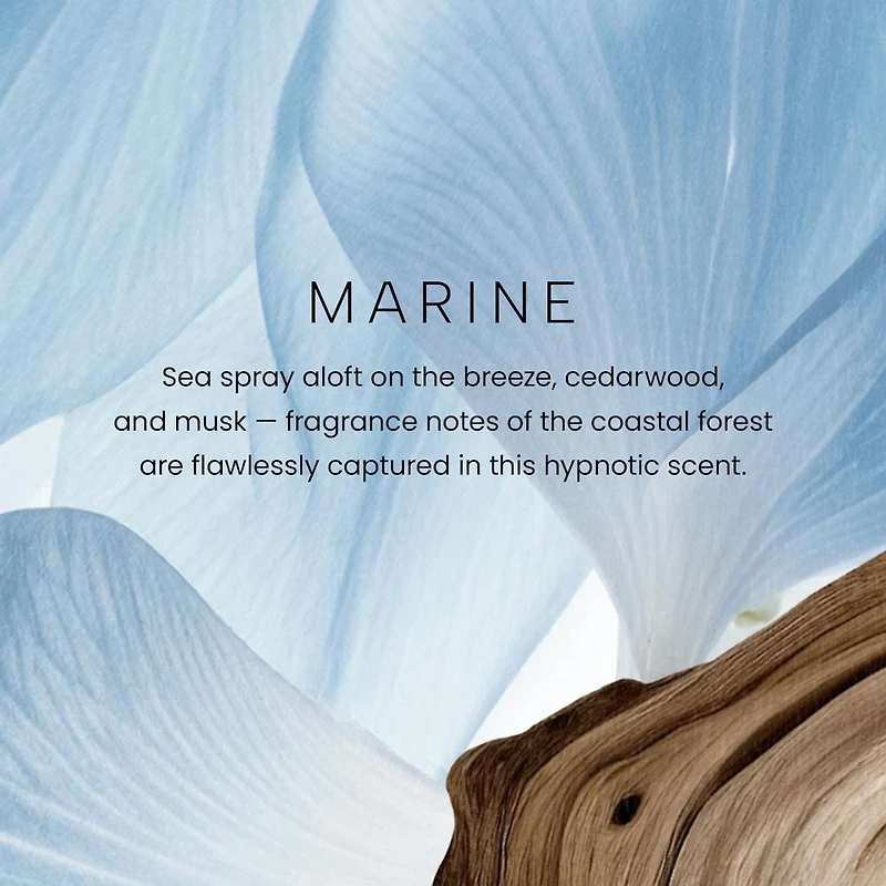 Marine Premium Reed Diffuser