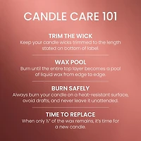 Sugared Cinnamon Apple