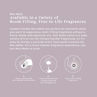 Dried Lavender & Oak