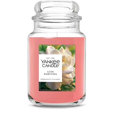 Lush Gardenia