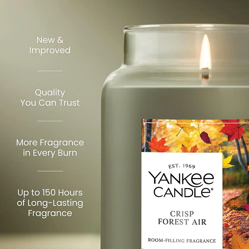 Crisp Forest Air