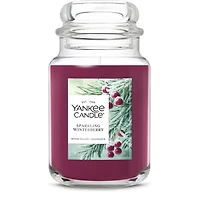 Sparkling Winterberry