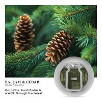 Balsam & Cedar