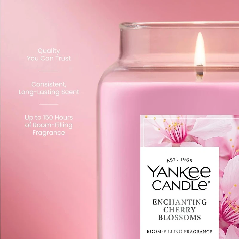 Enchanting Cherry Blossoms