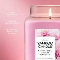 Enchanting Cherry Blossoms