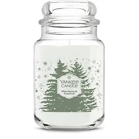 White Spruce & Grapefruit