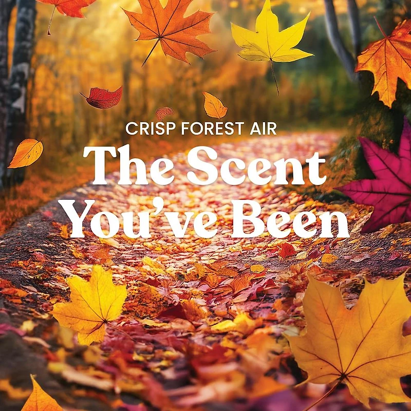 Crisp Forest Air