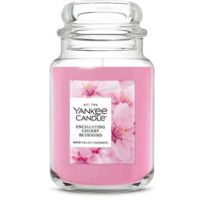 Enchanting Cherry Blossoms