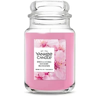 Enchanting Cherry Blossoms