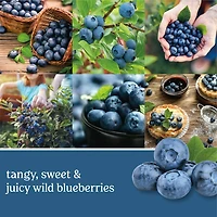 New England Blueberry