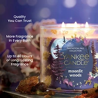 Moonlit Woods