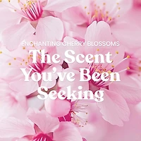 Enchanting Cherry Blossoms