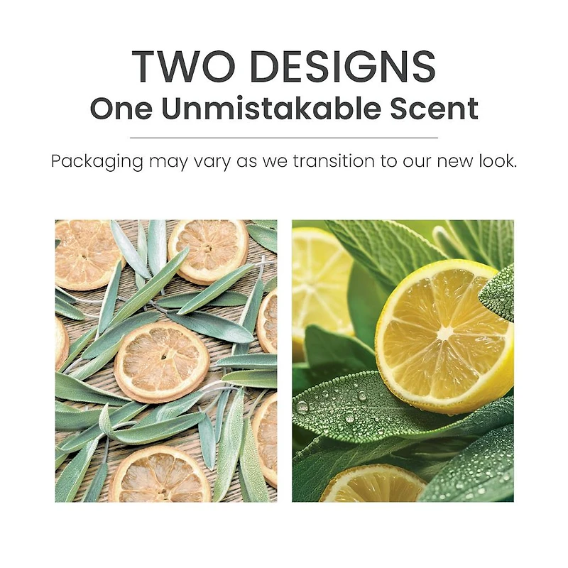 Sage & Citrus