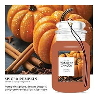 Spiced Pumpkin