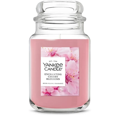 Enchanting Cherry Blossoms
