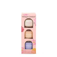 Mother’s Day Minis Gift Set