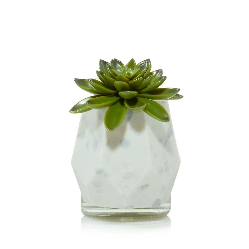 Faceted Succulent ScentPlug® Diffuser w/ Light